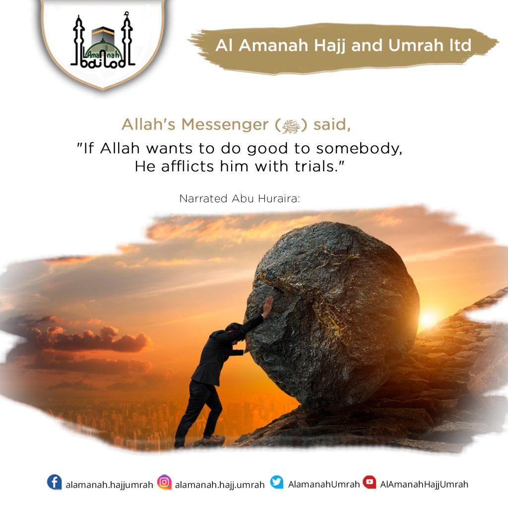 93 thumb Umrah Al-Amanah