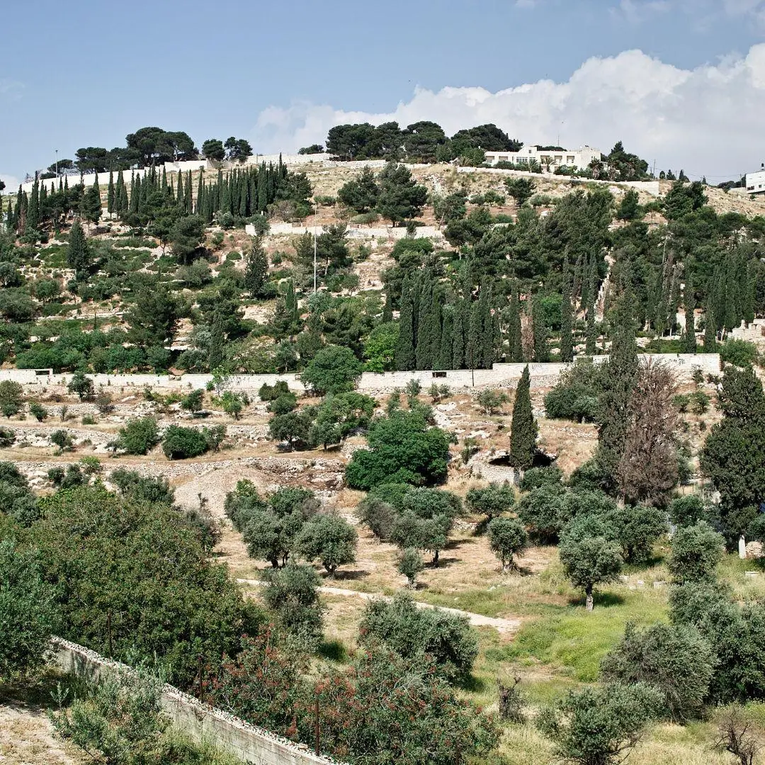 MOUNT. OF OLIVES Umrah Al Amanah